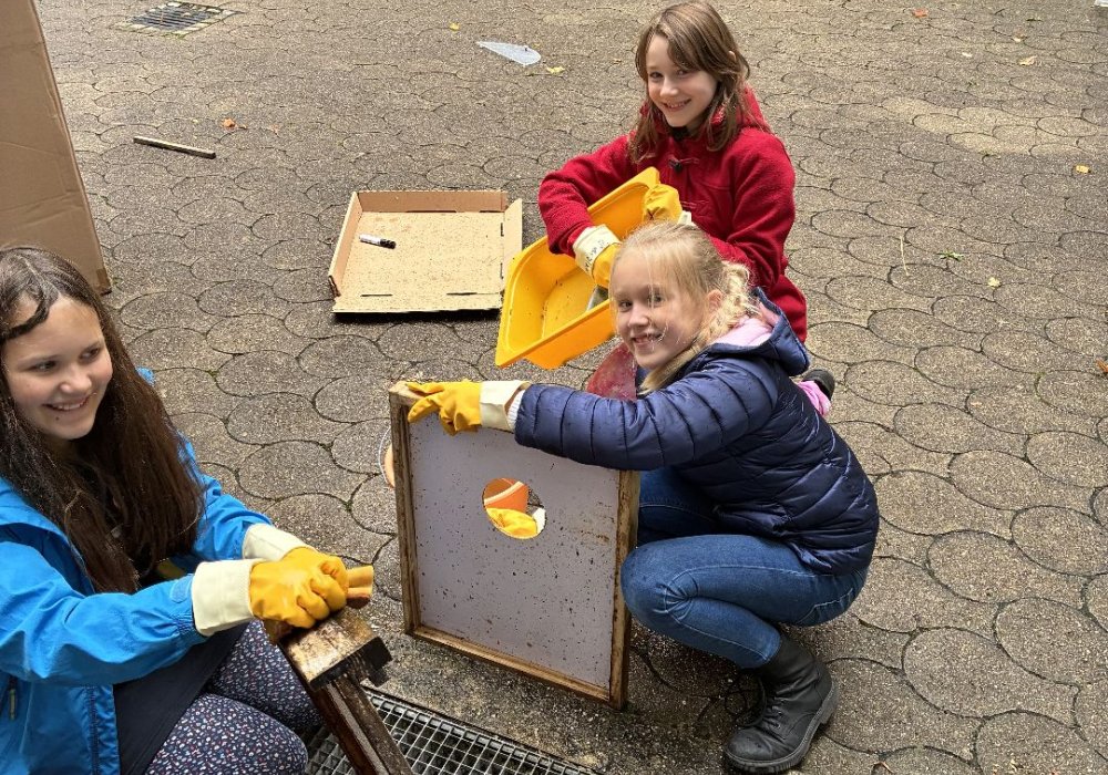 Aufräumaktion Bienen_1209