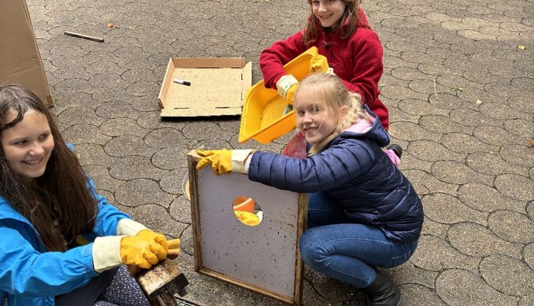 Aufräumaktion Bienen_1209