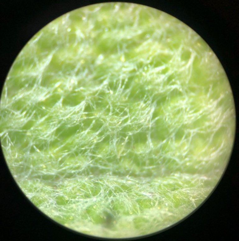 Chemie Bilder