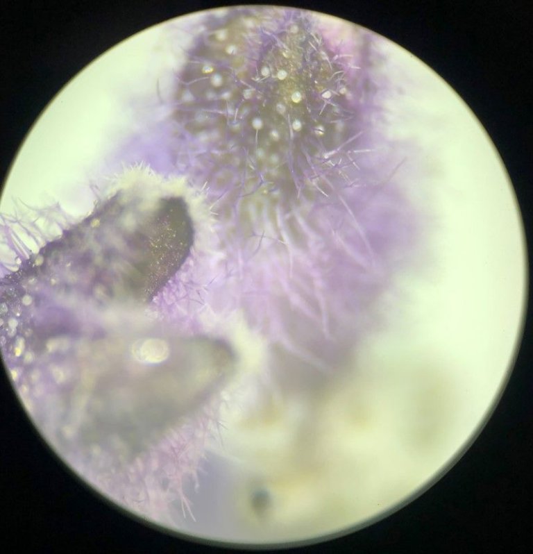 Chemie Bilder