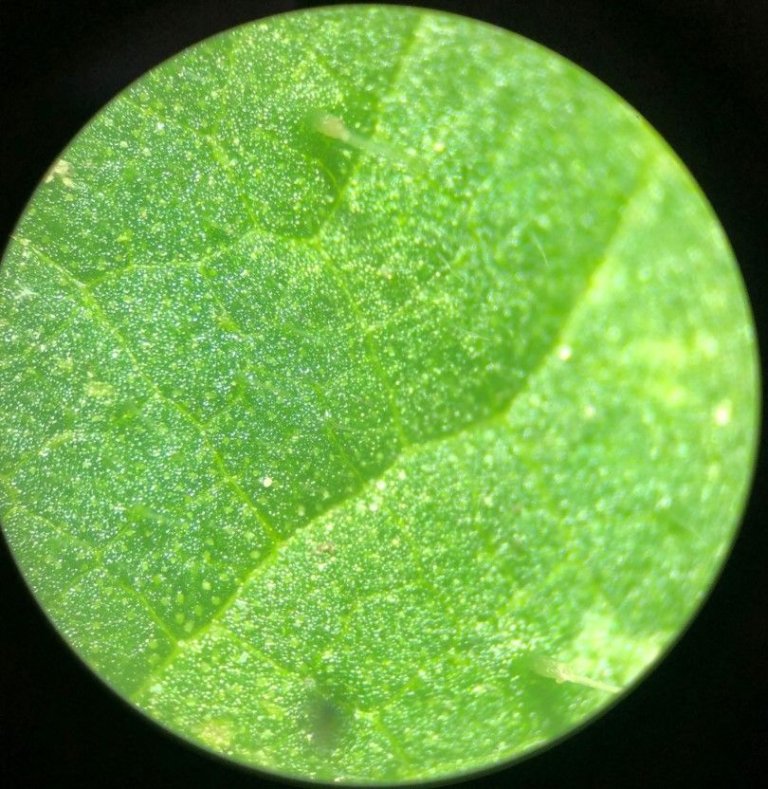 Chemie Bilder