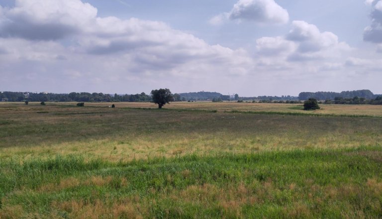 Freisinger_Moos_oben