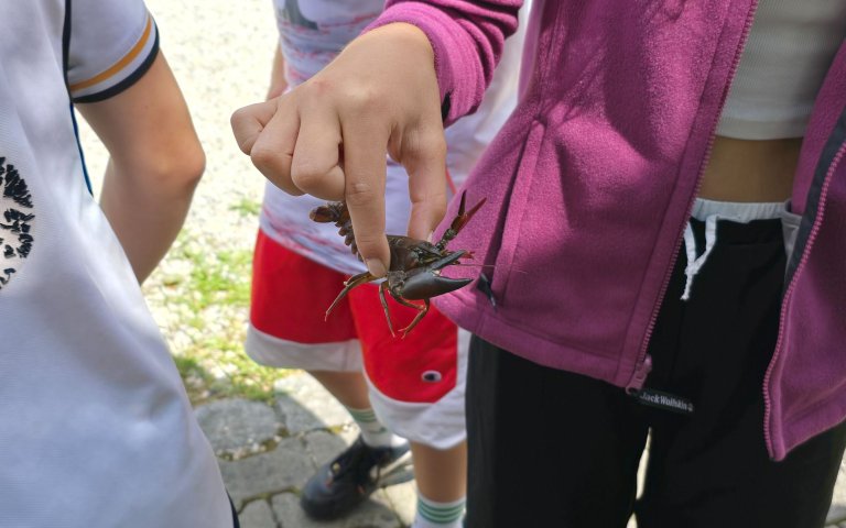 Gewaesserexkursion_2025_10
