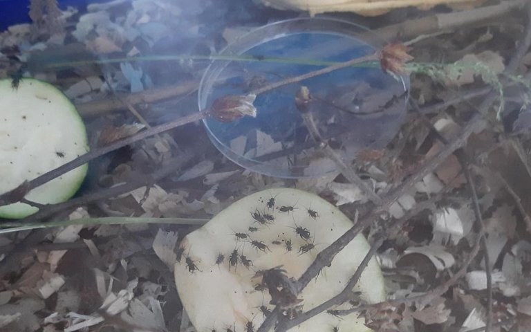 Biologie