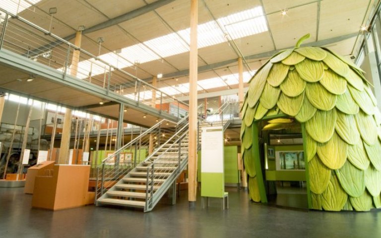 Galerie