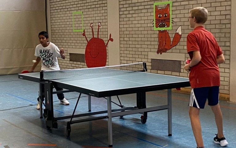 Sport