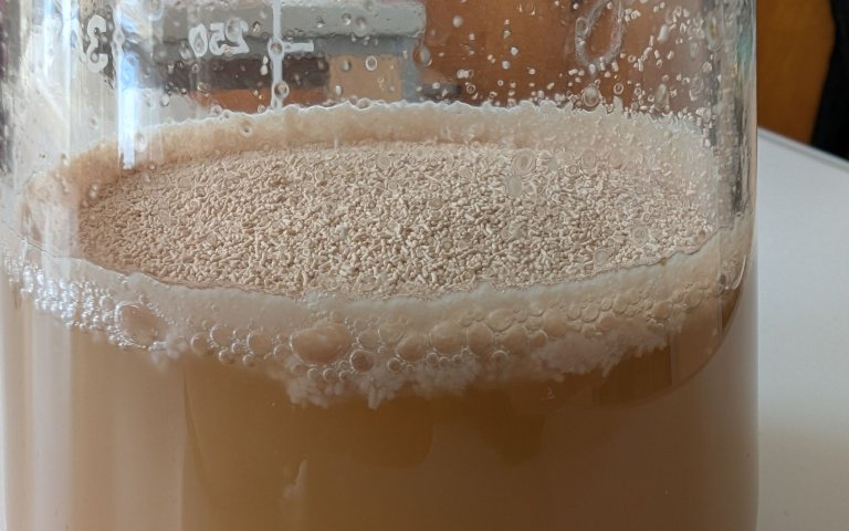 PXL_20250322_140836599