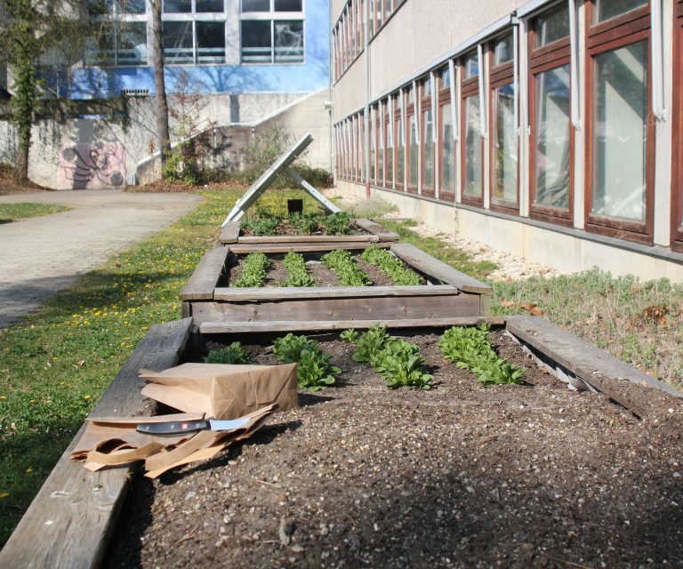 Schulgarten 1