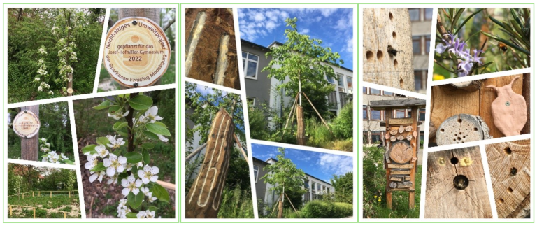 Bildquellen: Drohnenaufnahme von Hans-Martin Hilbig, Bildercollage von Daniel Kufner