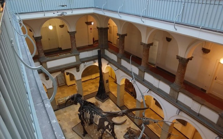 Galerie