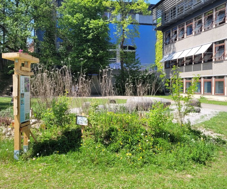 Kopfbilder