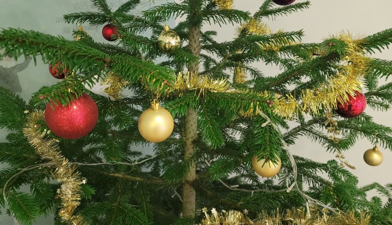 Weihnachtsdeko_2024_oben.jpeg