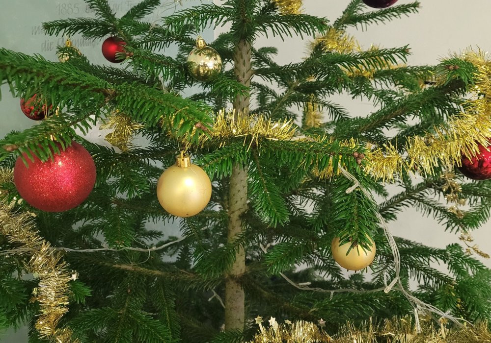 Weihnachtsdeko_2024_oben.jpeg