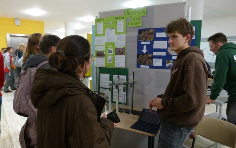 Galerie